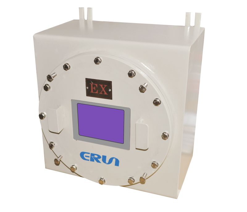 ERUN-QZ9120防爆在線(xiàn)式氫氣純度分析儀